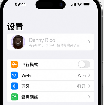 中沙appleID维修服务iPhone设置中Apple ID显示为灰色无法使用