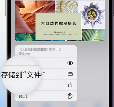 中沙apple维修中心分享iPhone文件应用中存储和找到下载文件