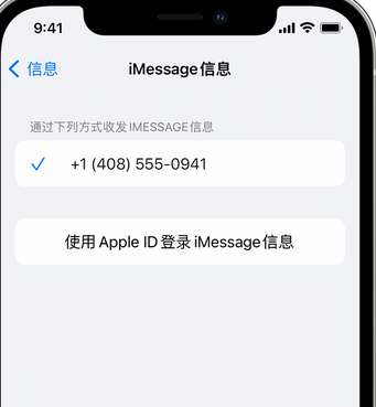 中沙apple维修iPhone上无法正常发送iMessage信息 