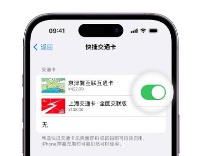 中沙apple维修点分享iPhone上更换Apple Pay快捷交通卡手绘卡面 