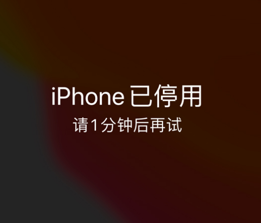 中沙苹果手机维修分享:iPhone 显示“不可用”或“已停用”怎么办？还能保留数据吗？ 