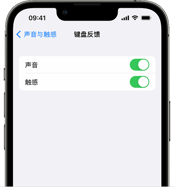 中沙苹果14维修店分享如何在 iPhone 14 机型中使用触感键盘 