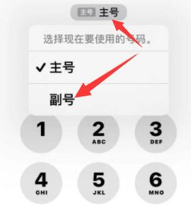 中沙苹果14维修店分享iPhone 14 Pro Max使用副卡打电话的方法 