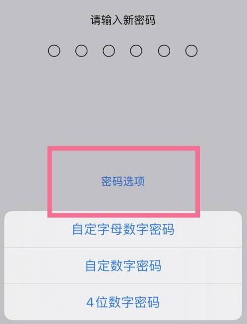 中沙苹果14维修分享iPhone 14plus设置密码的方法 