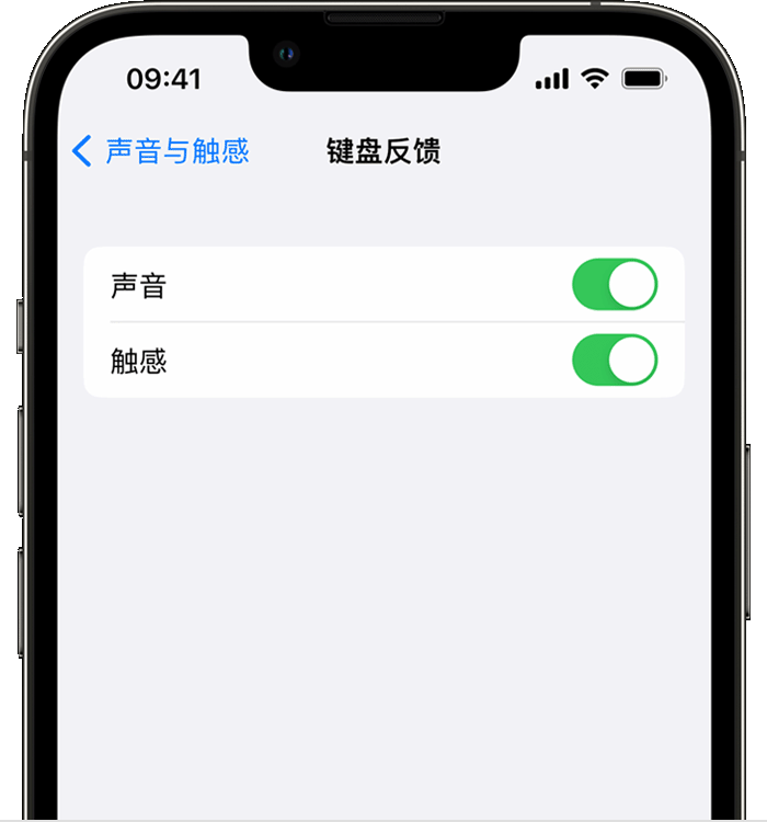 中沙苹果14维修分享iPhone 14 系列机型如何开启键盘声音或触感反馈 