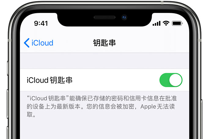 中沙苹果手机维修分享在 iPhone 上开启 iCloud 钥匙串之后会储存哪些信息 