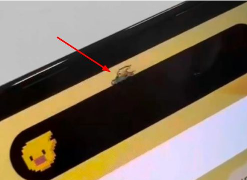 中沙苹果14维修分享iPhone 14 Pro Max灵动岛怎么养宠物 
