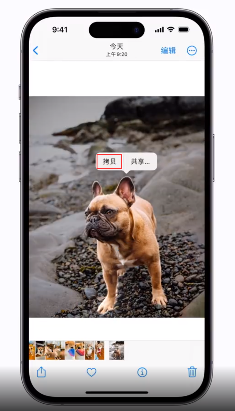 中沙苹果手机维修分享 iOS 16 自带一键抠图功能 