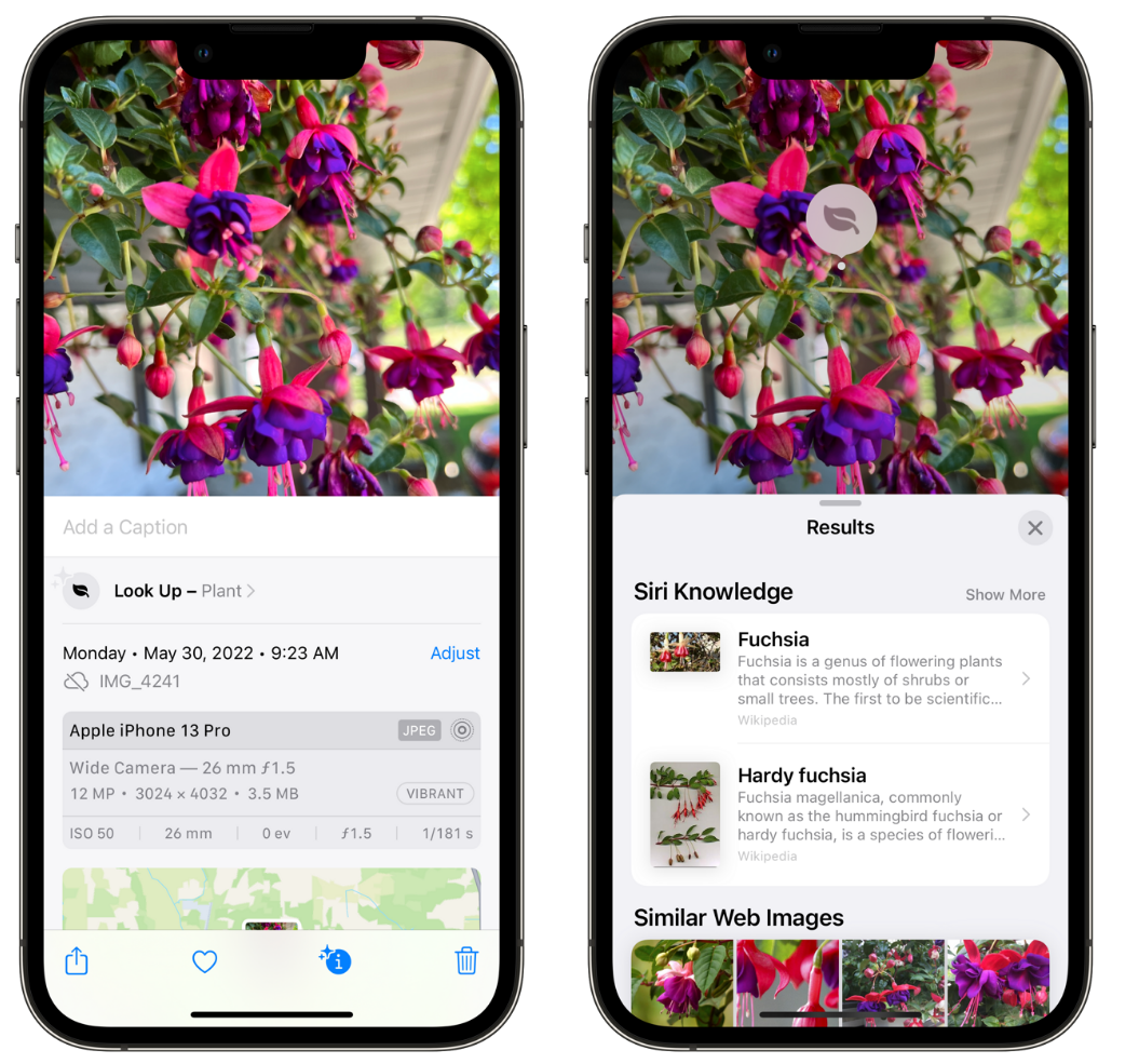 中沙苹果手机维修分享小技巧：使用 iPhone 相机识别花卉植物 