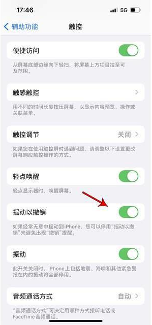 中沙苹果手机维修分享iPhone手机如何设置摇一摇删除文字 