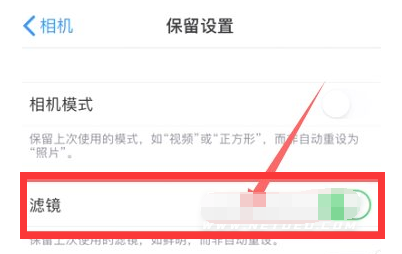 中沙苹果13维修分享iPhone13拍照有绿点是怎么回事 
