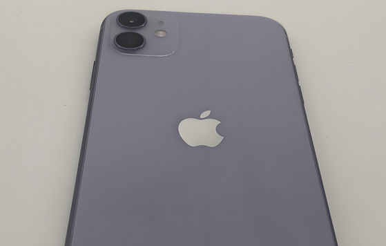 中沙苹果11系统维修分享iPhone11手机系统崩溃无法开机如何解决 